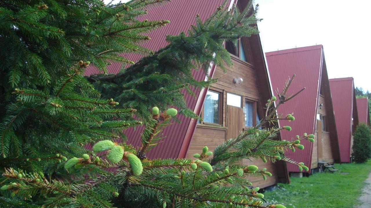 Pod Starym Groniem Hotel Брена Екстериор снимка
